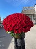 101 роза премиум - Любовь, высота 80 см. с лентой.